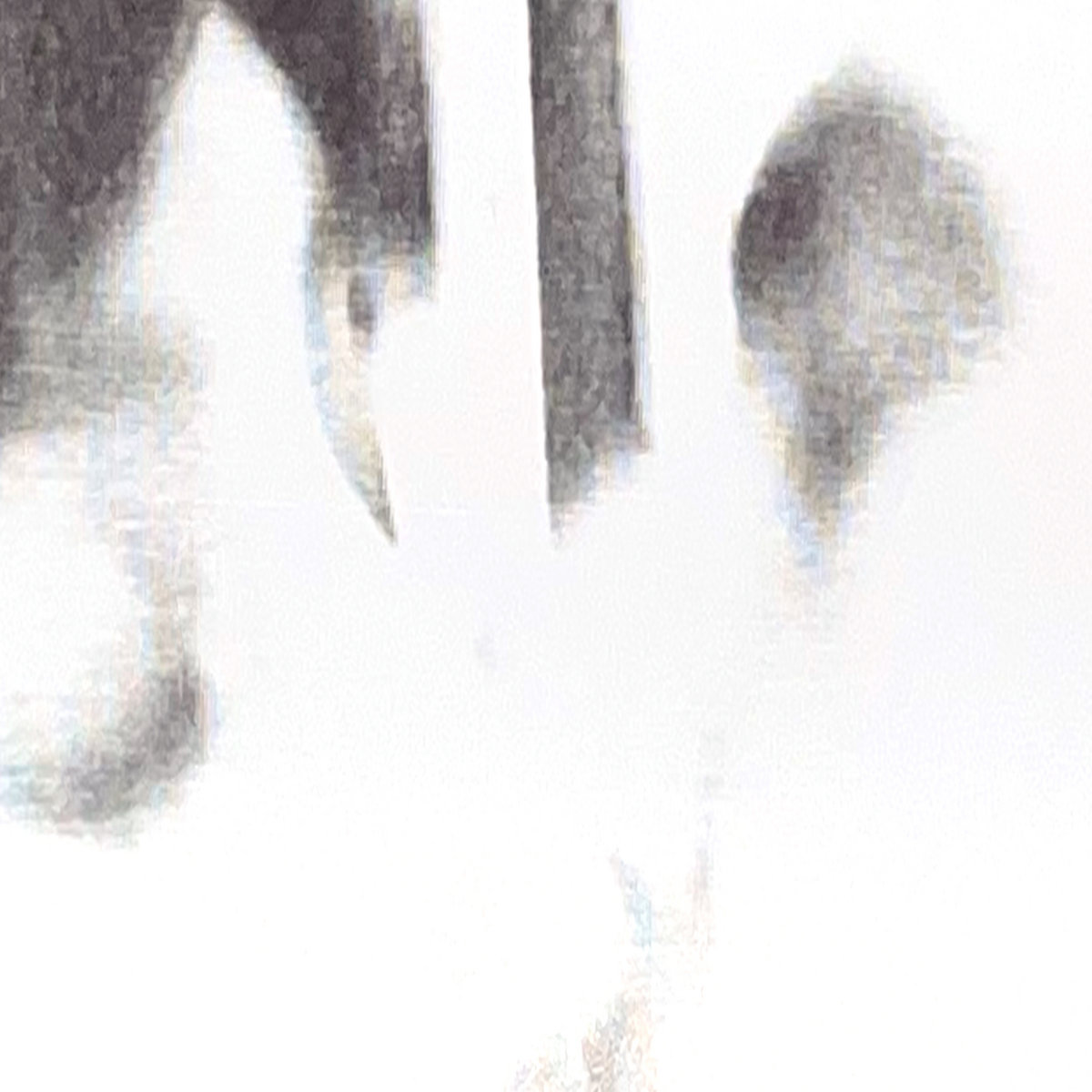 洋楽 Horse Vision - Another Life (LP) Another Life | Horse Vision