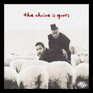 The Choice Is Yours cover