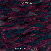 Hold Still Life cover art