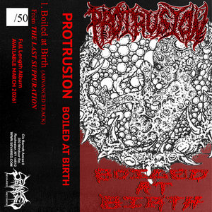 Boiled at Birth (Advanced Track) cover