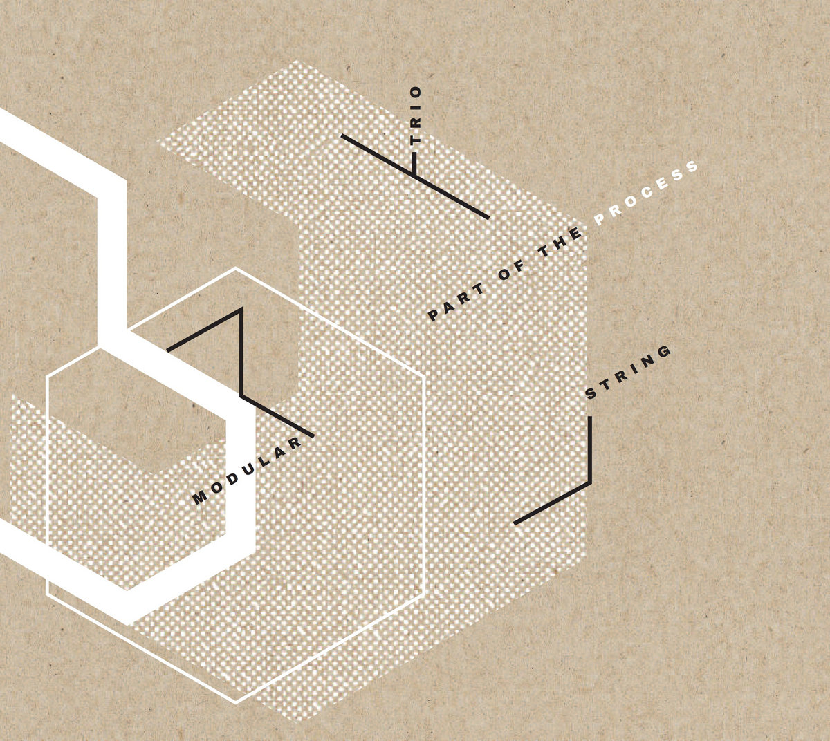 Part of the Process | Modular String Trio | Multikulti Project