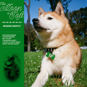 The Moon is Soft cover