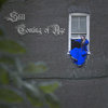 Still Coming of Age