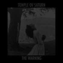 The Warning cover art