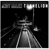 Tunnelion (Original Mix) cover art