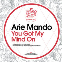 ARIE MANDO - You Got My Mind On [ST222] cover art