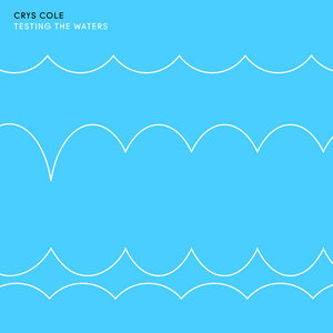 Testing the Waters cover