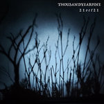 Thousand Year Pine - 21oct21