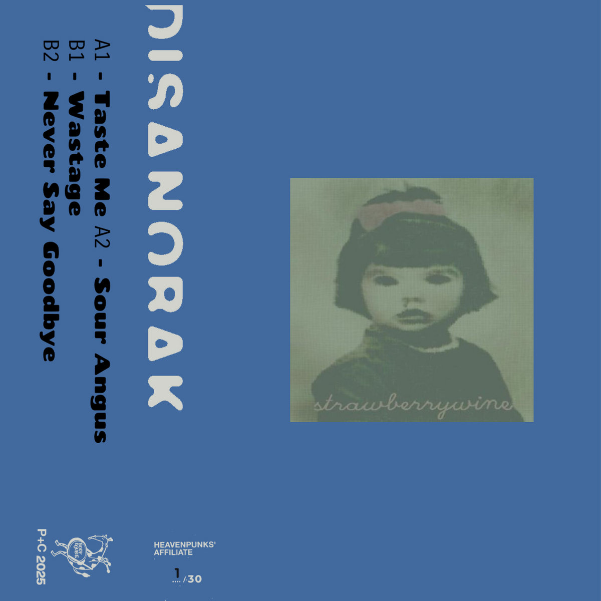 STRAWBERRY WINE - Ep | 048 | disanorak