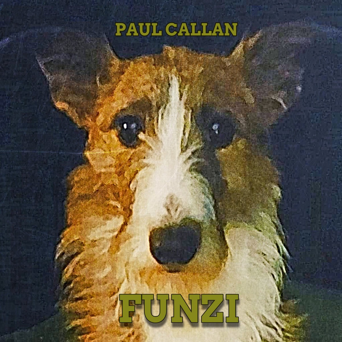 FUNZI cover
