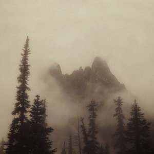 Waking in the Wild cover
