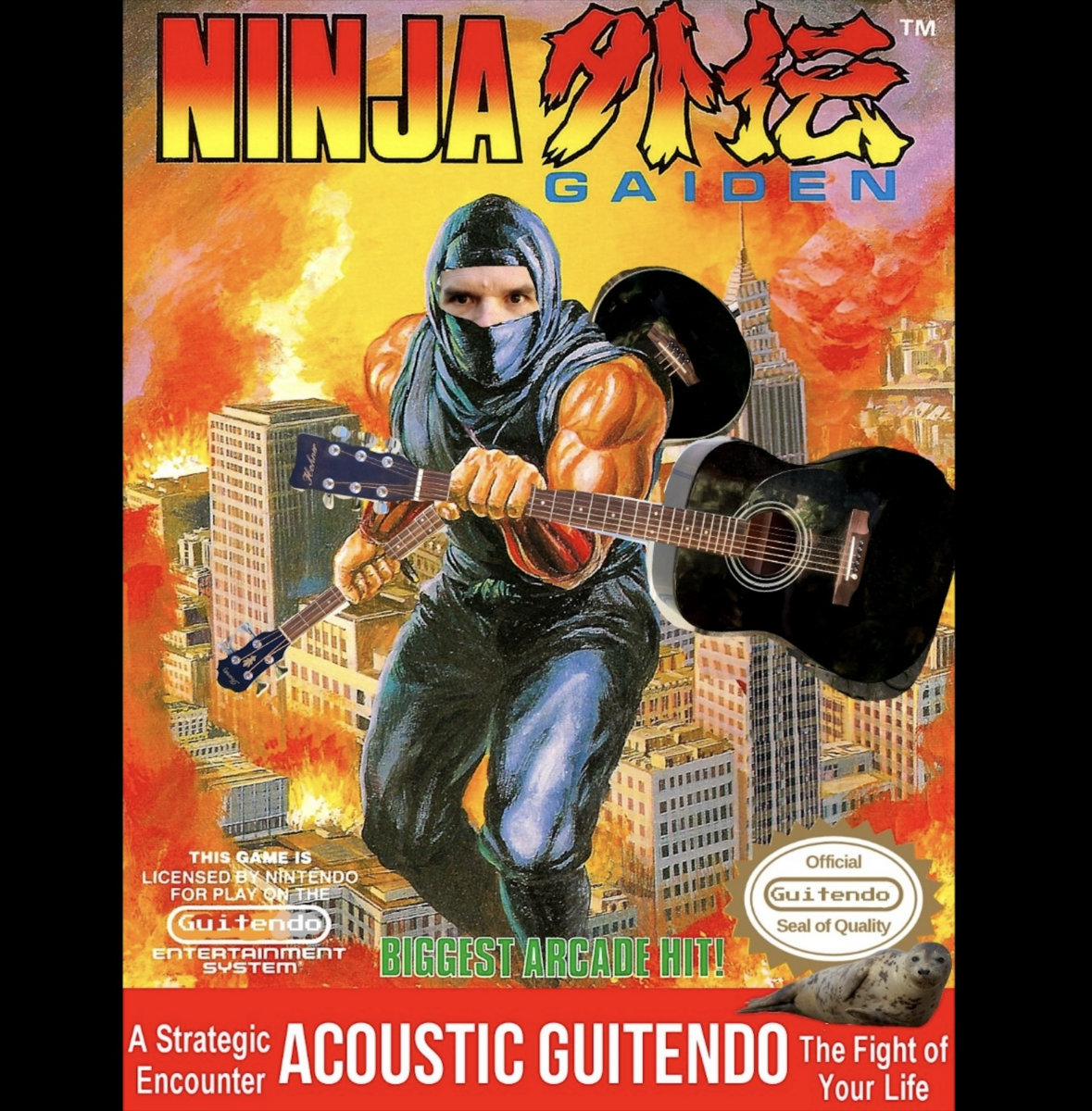 Ninja Gaiden