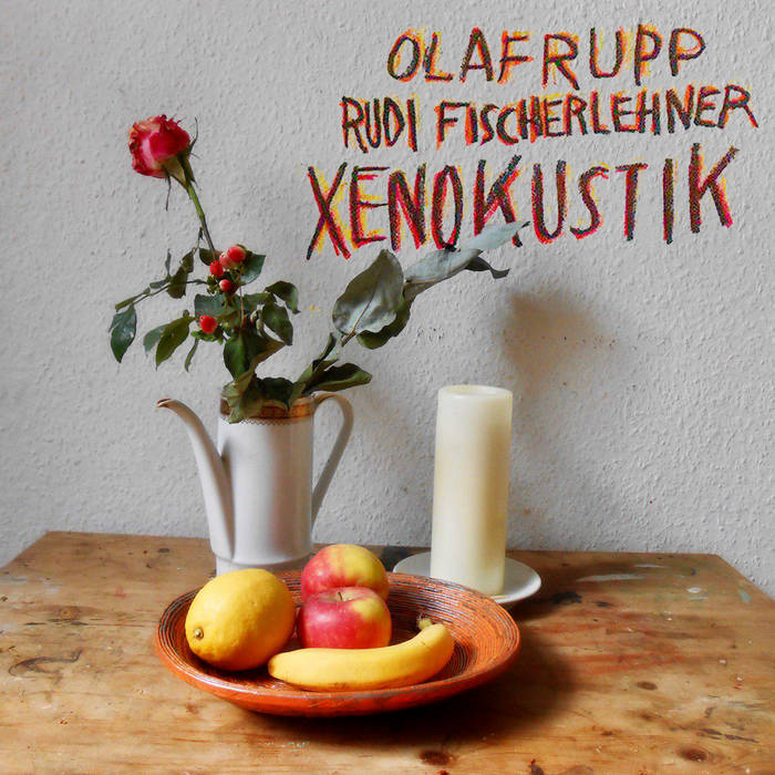 xenokustik von XENOFOX with acoustic guitar