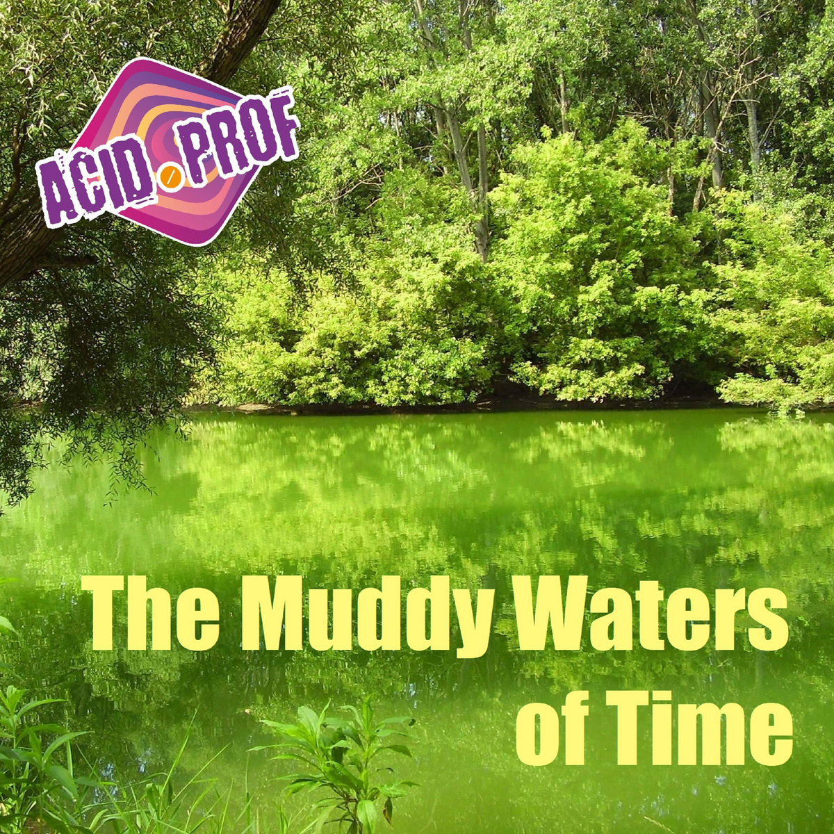 Bobby Wallisch Jr. - The Muddy Waters of Time
