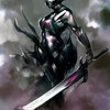 EnV - Valkyrie