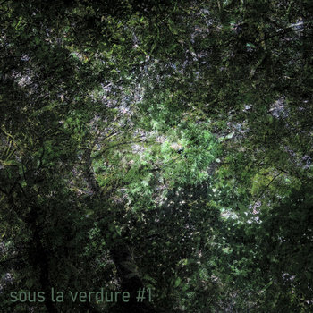 sous la verdure #1