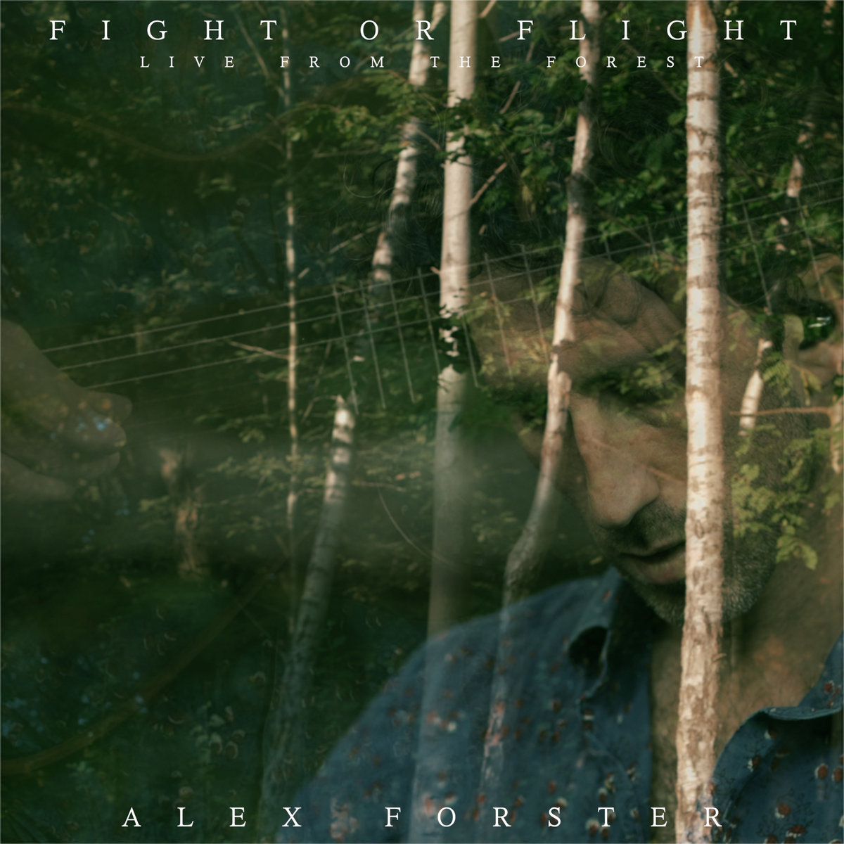 Fight or Flight (Live from the Forest) | Alex Forster