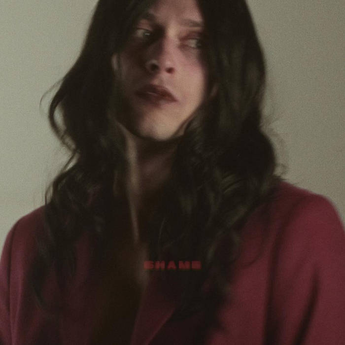 Flowers 15 - Shame album artwork