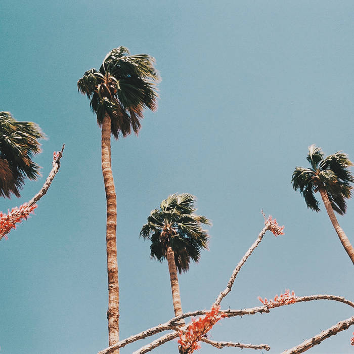 Live at UCSD von Michelle Lou and Stefan Maier