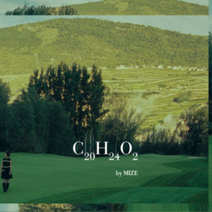 C20H24O2 cover