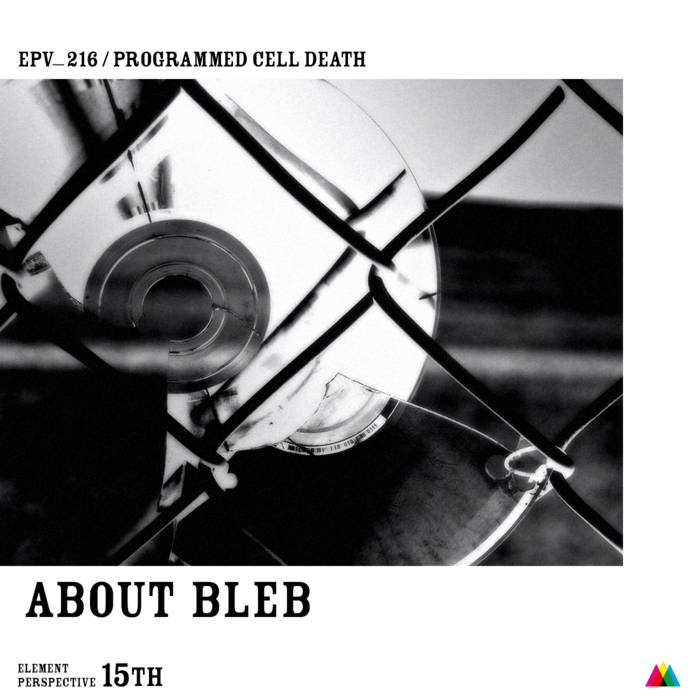 bleb – Programmed Cell Death