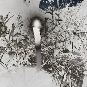 glass egg — visions & ecstasies