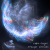 Starlight Wavicles (Maxi Single) Cover Art