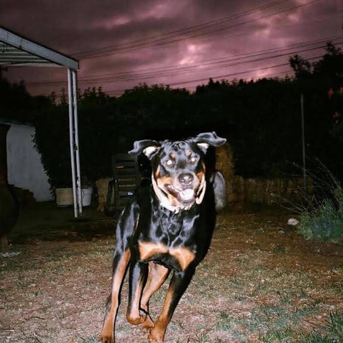 Hollow Shine Lightning