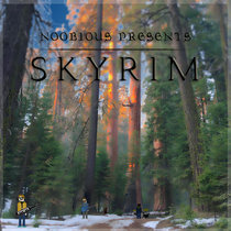 Skyrim cover art