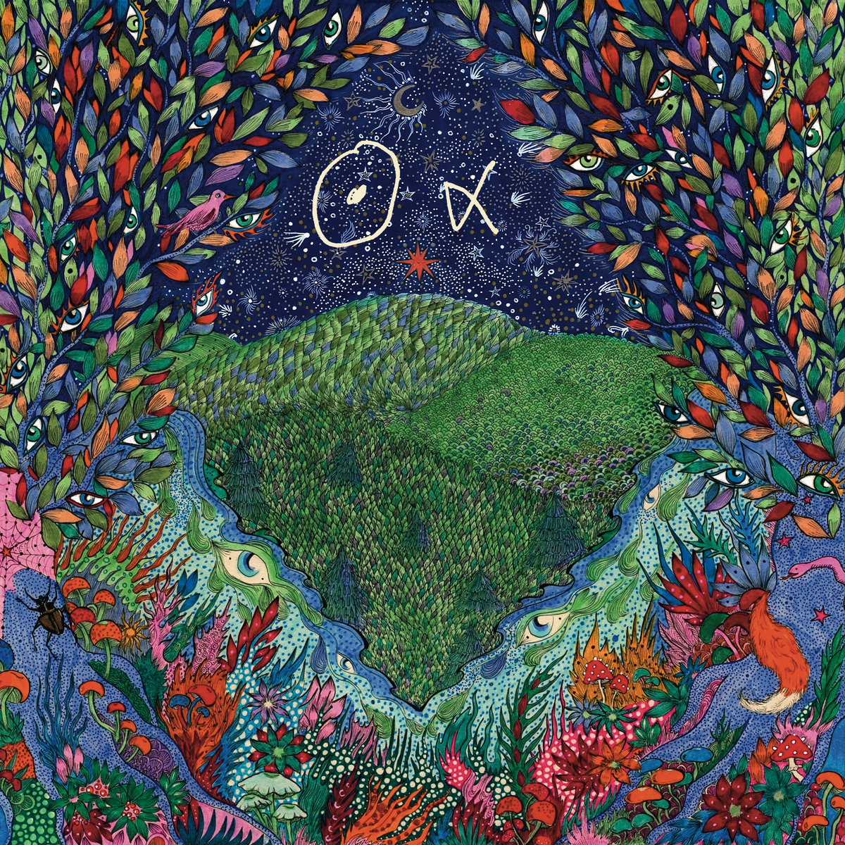 A Walk in the Woods | Nous Alpha | Our Silent Canvas