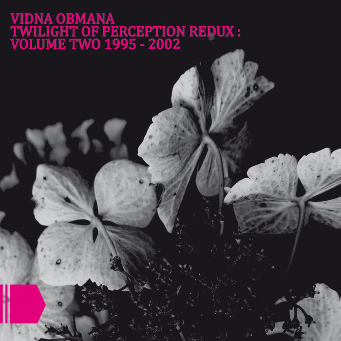 TWILIGHT OF PERCEPTION REDUX VOLUME TWO 1995 - 2002 | VIDNA OBMANA