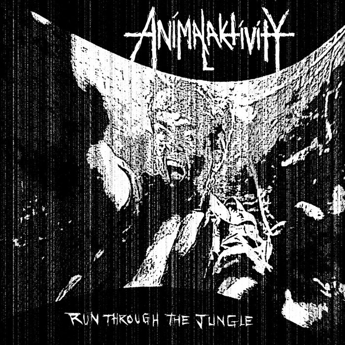 Run Through The Jungle | Animalaktivity