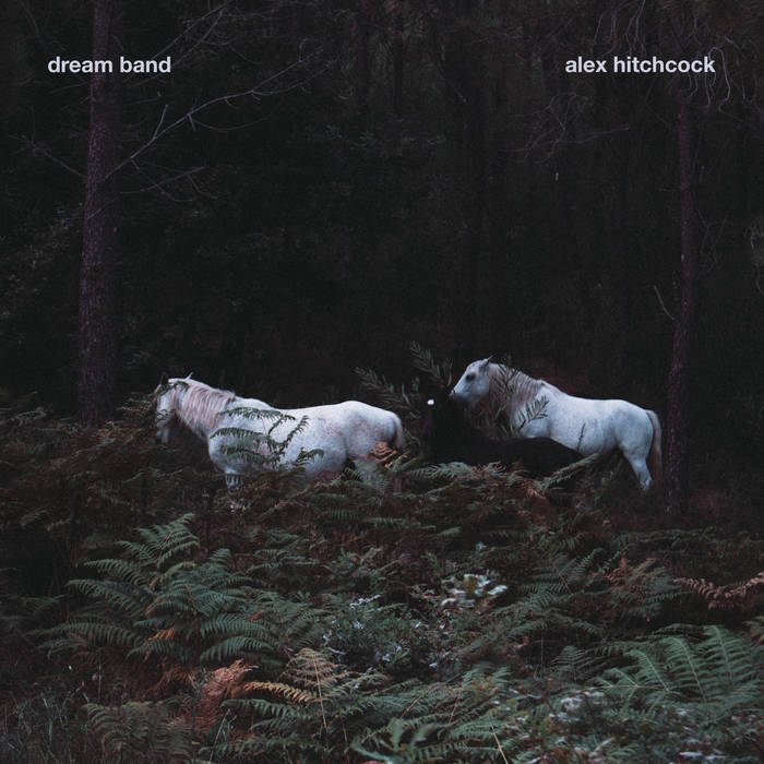 dream band | Alex Hitchcock
