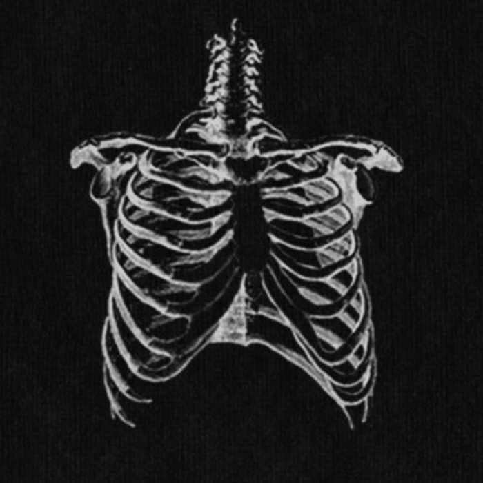 Lorde Ribs (sleeper119 remix pack) sleeper119