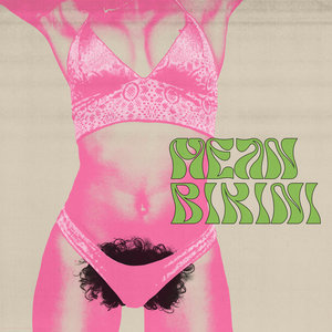 S/T cover