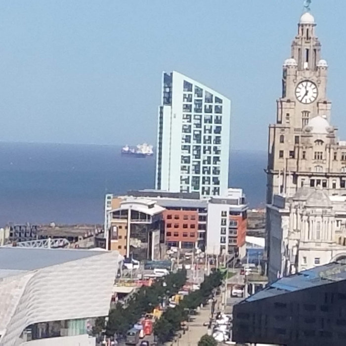 Potter's Field Esperanto Dan Israel