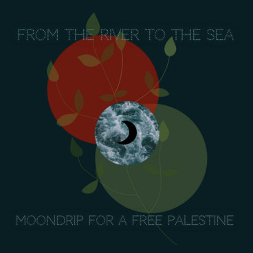 From The River To The Sea: Moondrip For A Free Palestine main photo