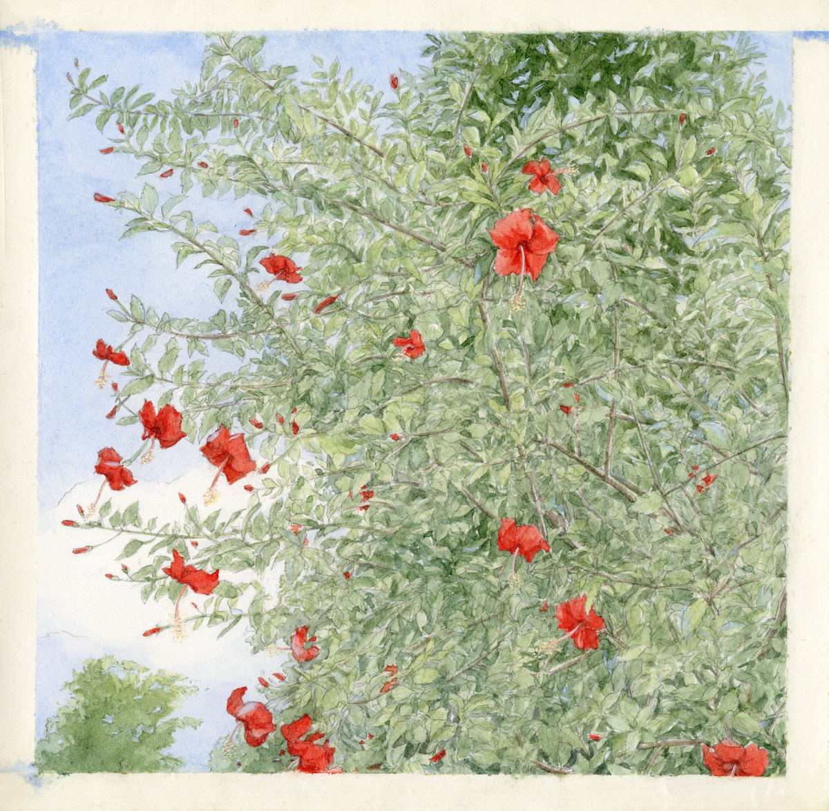 Five Years: Botanic Records | Botanic Records