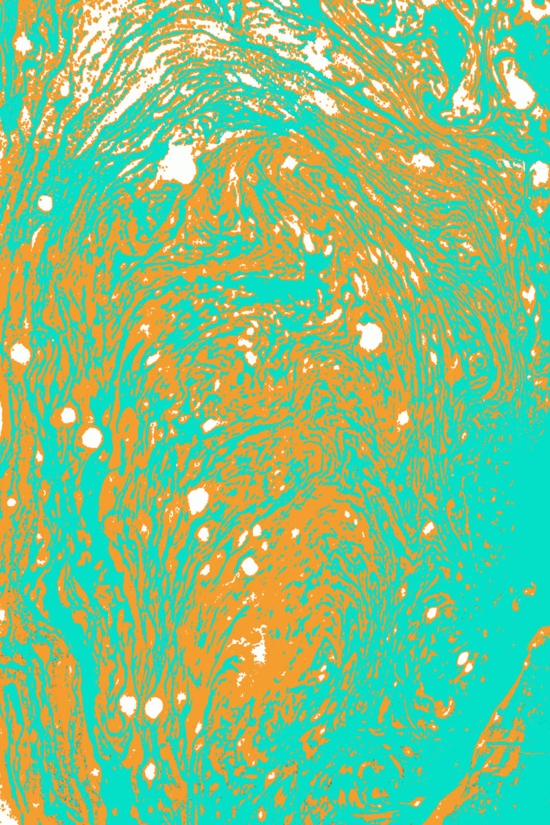 A Veil of Phosphorous Rot cover