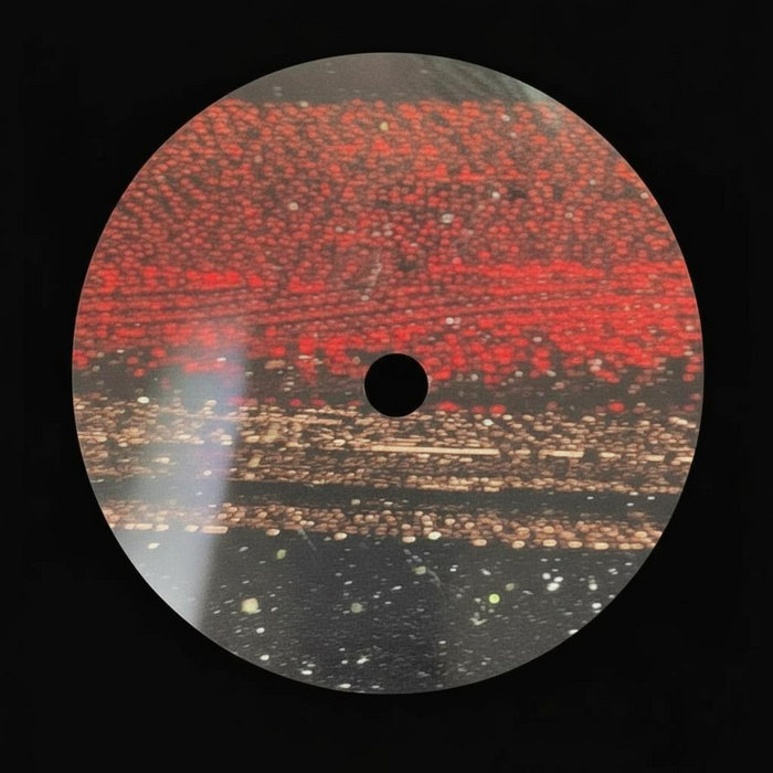 BARUKA_THE RITUAL | BARUKA | Orlando Voorn Official