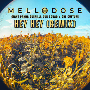 Hey Hey (Third Island Remix) - with Giant Panda Guerilla Dub Squad & One Culture cover