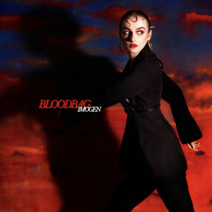 Bloodbag cover