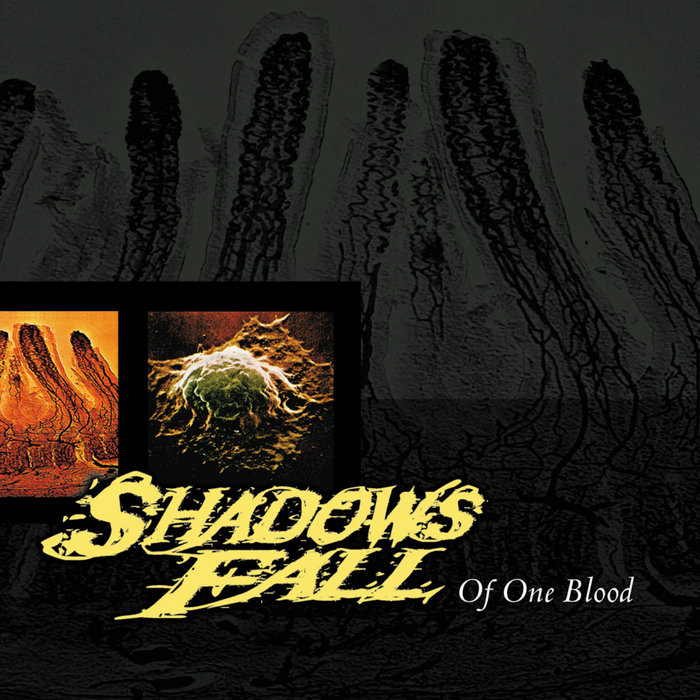 Of One Blood | Shadows Fall | Century Media Records