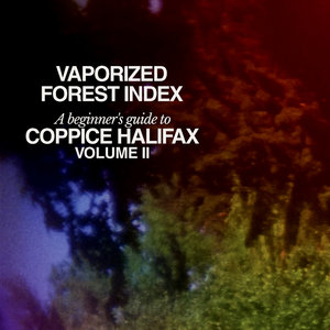 Vaporized Forest Index (Volume II) cover