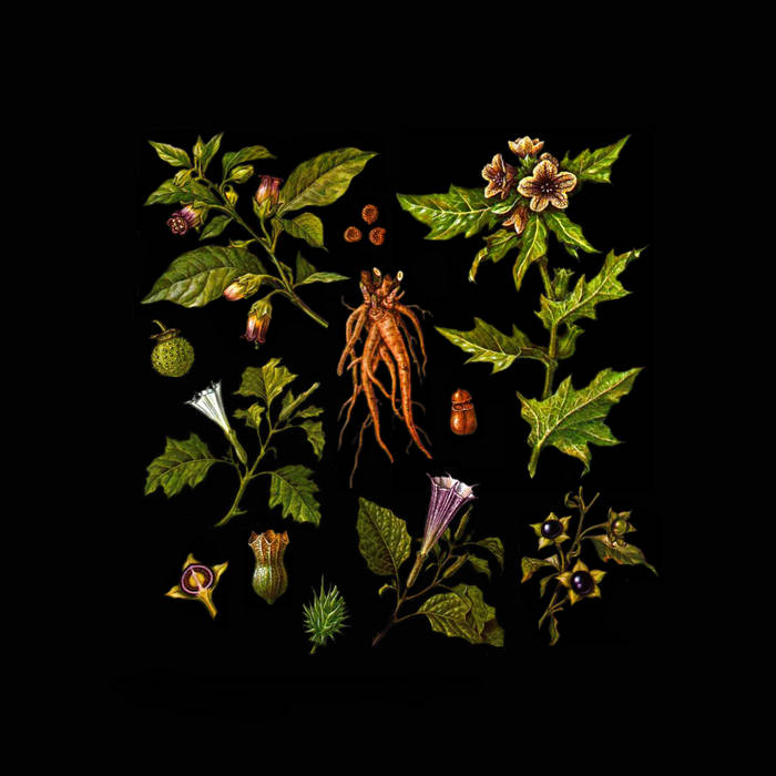 Folklore of Plants Vol.II - Venefic Garden | Sam McLoughlin