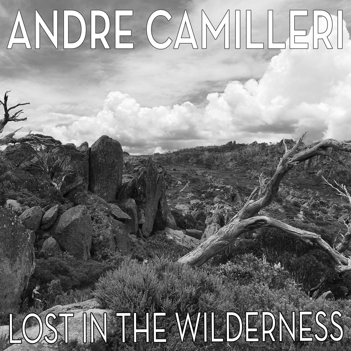Lost In The Wilderness | Andre Camilleri