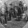 Pretend That We're Alone "demo"