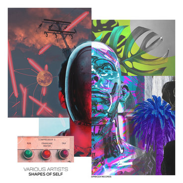 Shapes Of Self [SMZVA01] main photo