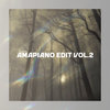 Amapiano Edit Vol. II