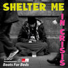 Shelter Me - In Crisis Cover Art